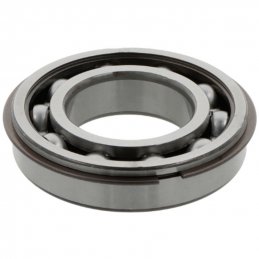 Deep groove ball bearings 6213 -ZNR