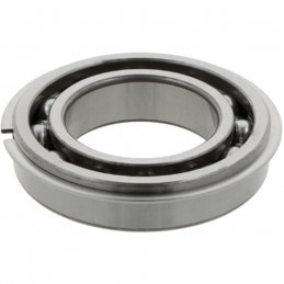 Deep groove ball bearings 207  NR